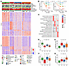 Multi-omics clustering identified 4 CC molecular subtypes with prognostic r