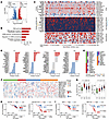 Phosphoproteomics landscape of CC.
