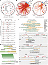 HPV integration and human-viral fusion peptides.
