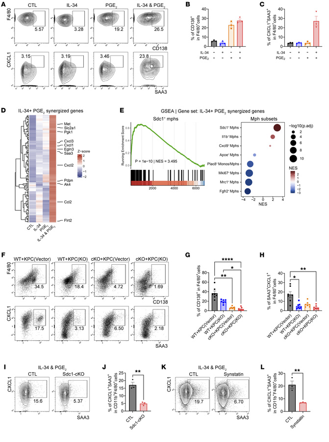 The formation of CD138+ TAMs is induced via IL-34/syndecan-1 and PGE2/EP...