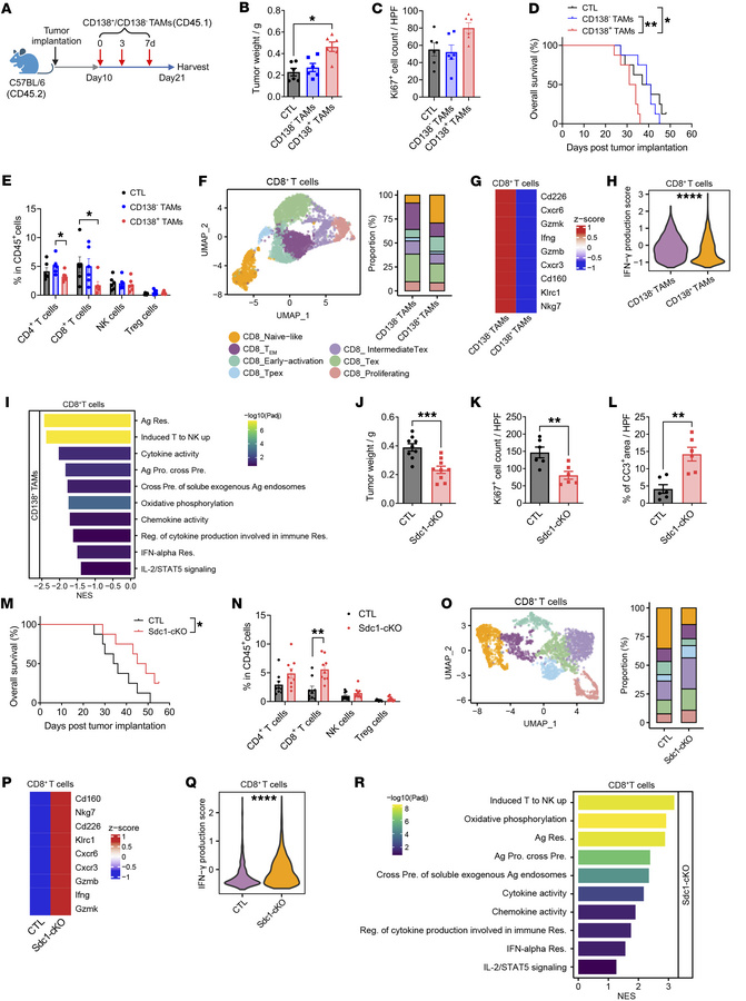 CD138+ TAMs facilitate the progression of PDAC by promoting tumor immune...