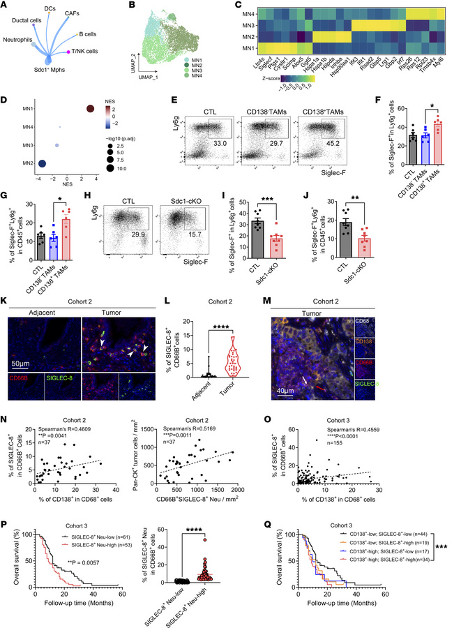 There is a significant cell-to-cell interaction between CD138+ TAMs and ...