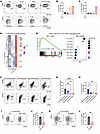 The formation of CD138+ TAMs is induced via IL-34/syndecan-1 and PGE2/EP2 s