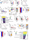 CD138+ TAMs facilitate the progression of PDAC by promoting tumor immune ev