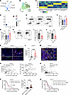 There is a significant cell-to-cell interaction between CD138+ TAMs and Sig