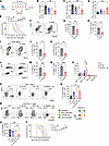 Anti–IL-34 antibodies abrogate tumor progression and enhance responses to a