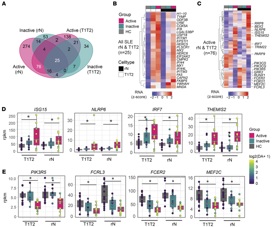 Shared and distinct gene expression signatures in active and inactive SL...