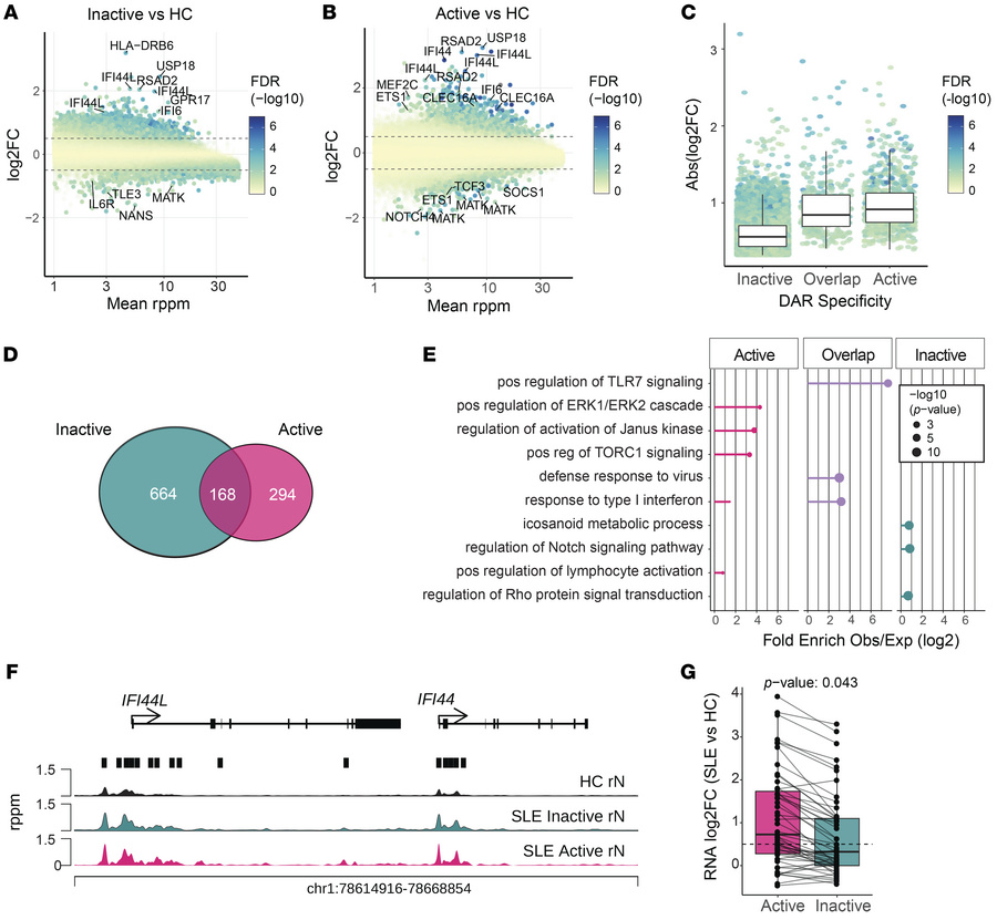 Chromatin accessibility changes in inactive SLE partially overlap those ...