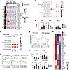 Cytokine and CD40 signaling gene expression in rN inactive SLE.