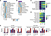 IRF and NFAT family factor motifs are enriched in shared elements of inacti