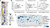 MEF2 and E2A/E2-2 regulate inactive SLE gene expression programs.