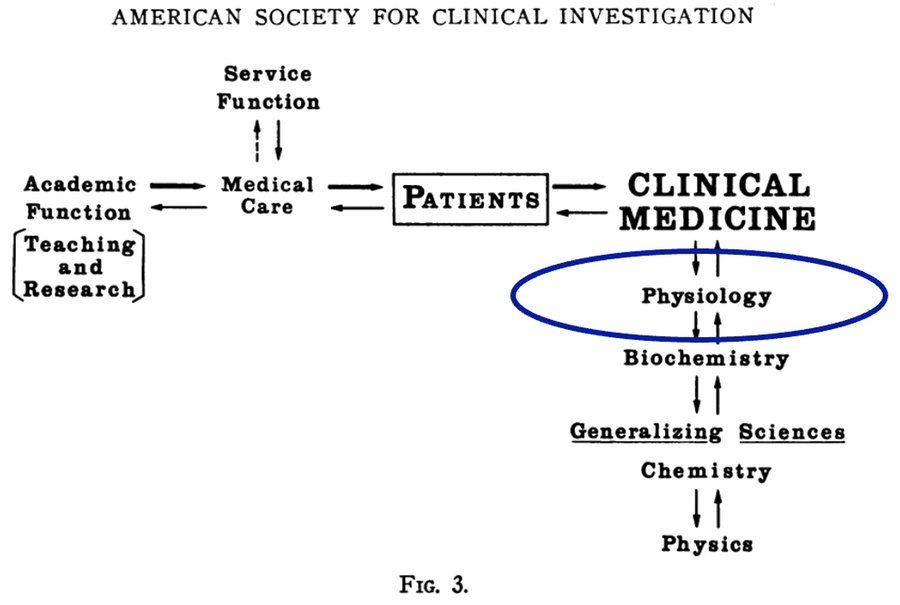 Figure from Donald Seldin’s 1966 ASCI presidential address.
Adapted from...