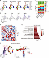 MplW514L mutation enhanced megakaryocyte lineage commitment in hematopoieti