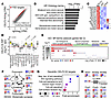 CELF2 mutant in the cytoplasm binds mRNAs of seizure-related genes and regu