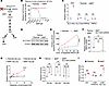 6MP-resistant human lymphomas upregulate SLC15A3 and dipeptide uptake.