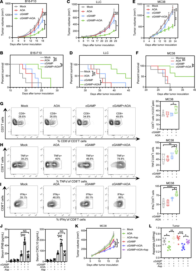 AOA augments low-dose cGAMP–mediated antitumor immunity.
(A–F) Tumor vol...