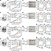 cGAS–ZBP1–RIPK1/3 axis and GOT2/GPT2 are essential for cGAMP+AOA–induced an