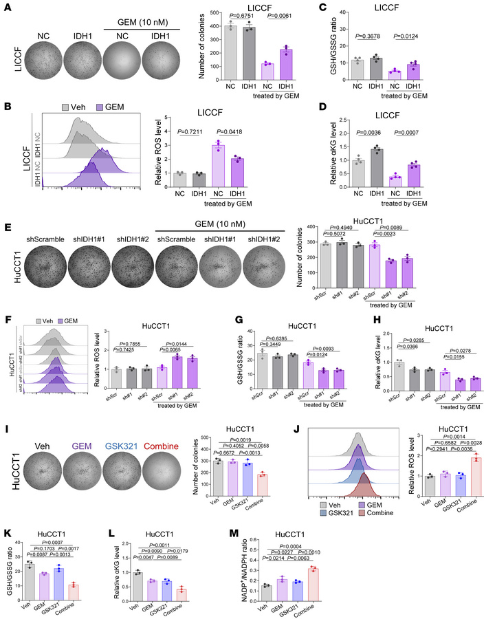 GEM treatment and IDH1 alteration affects intracellular oxidative stress...