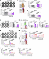The effects of IDH1 in causing resistance of iCCA to GEM depend on its role