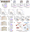 Allosteric IDH1 inhibitor ivosidenib synergies with GEM against iCCA with w