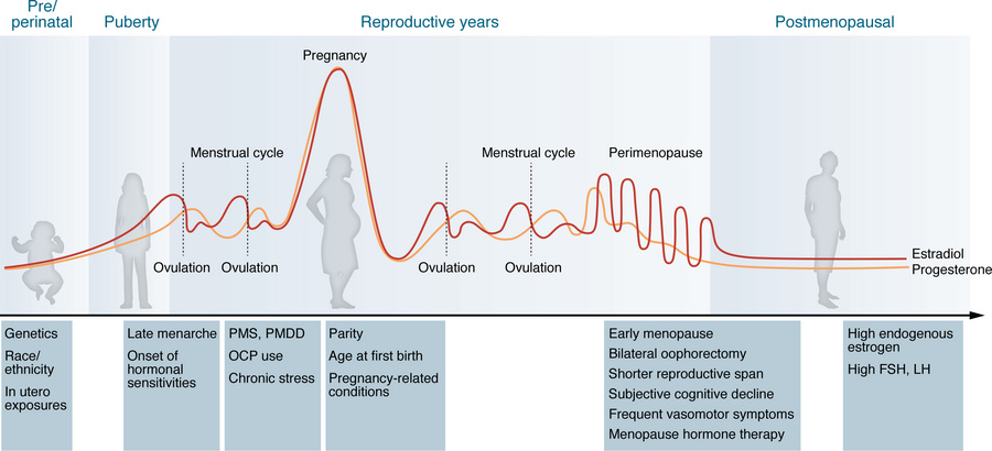 Neuroendocrine and reproductive health factors associated with AD risk a...