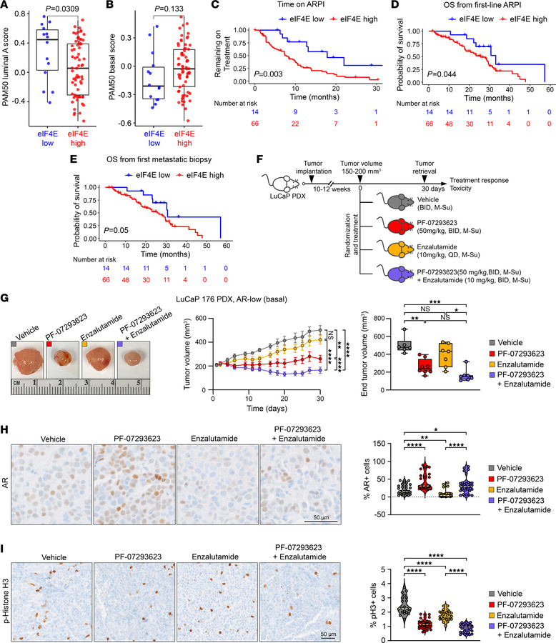 Cap binding domain of eIF4E drives lineage plasticity and restores sensi...