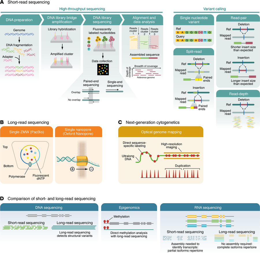 Overview of short- and long-read approaches for genetic analysis of neur...