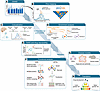 From genome-wide association to functional and translational insights.