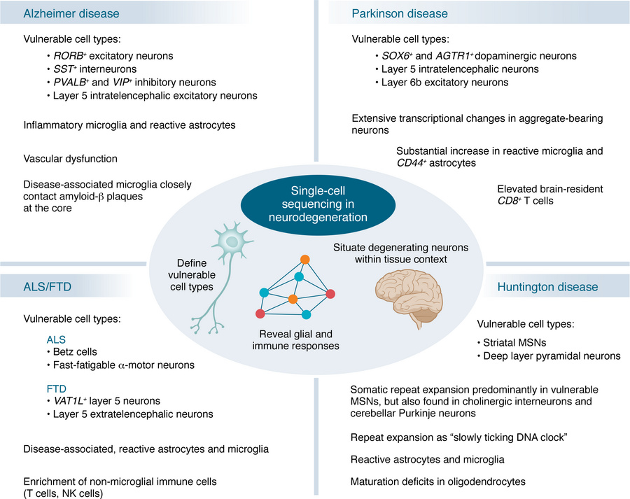 Insights into neurodegenerative disease mechanisms from single-cell anal...