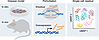 Single-cell perturbation framework to test causal regulators of vulnerabili