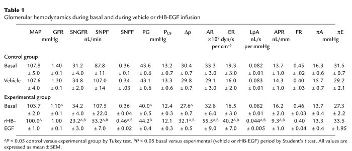 Glomerular hemodynamics during basal and during vehicle or rHB-EGF infusion