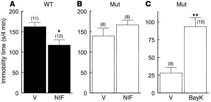 Effect of nifedipine and BayK on immobility time in the forced-swim test...
