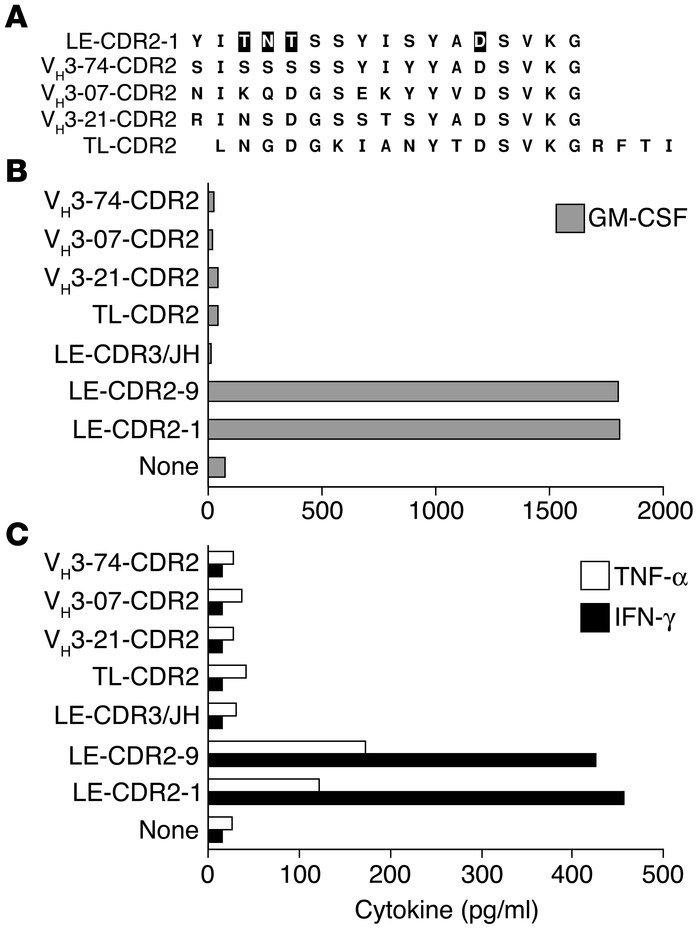 LE-1 T cells did not respond to germ-line CDR2 peptides. (A) Amino acid ...