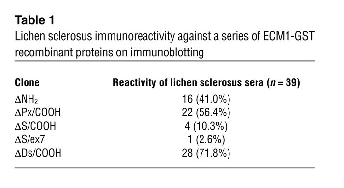 Lichen sclerosus immunoreactivity against a series of ECM1-GST recombina...