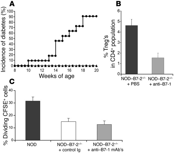 Blocking B7-1 but not CTLA-4 restores diabetes in NOD_B7-2_/_ mice. (A) ...