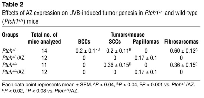 Effects of AZ expression on UVB-induced tumorigenesis in Ptch1+/– and wi...