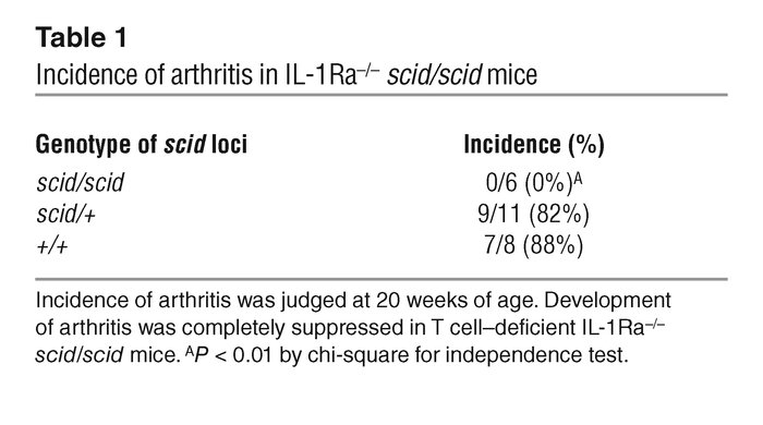 Incidence of arthritis in IL-1Ra–/–scid/scid mice