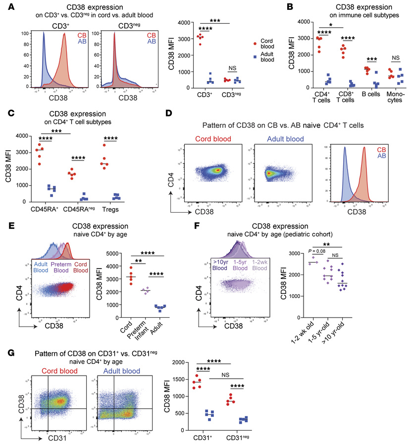 CD38 expression is highly enriched on naive early-life CD4+ T cells.
(A)...