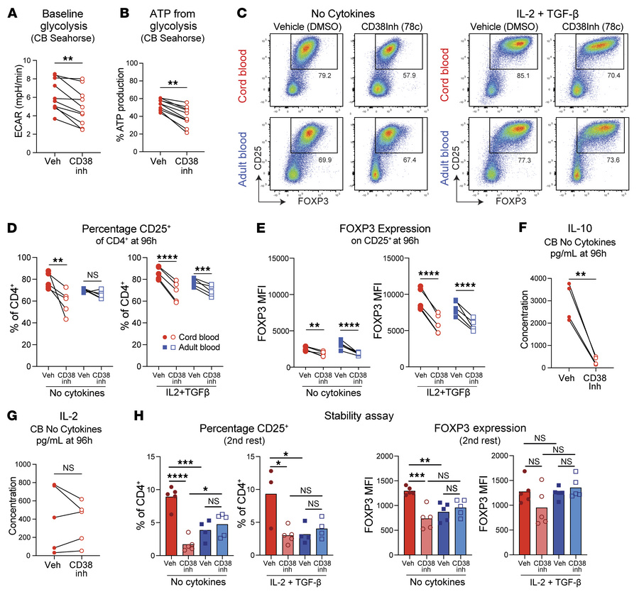 Inhibition of CD38 activity in cord blood naive CD4+ T cells reduces the...