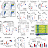 Neonatal naive CD4+ T cells demonstrate more tolerogenic potential upon sti