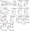 Neonatal naive CD4+ T cells demonstrate a metabolic preference for glycolys