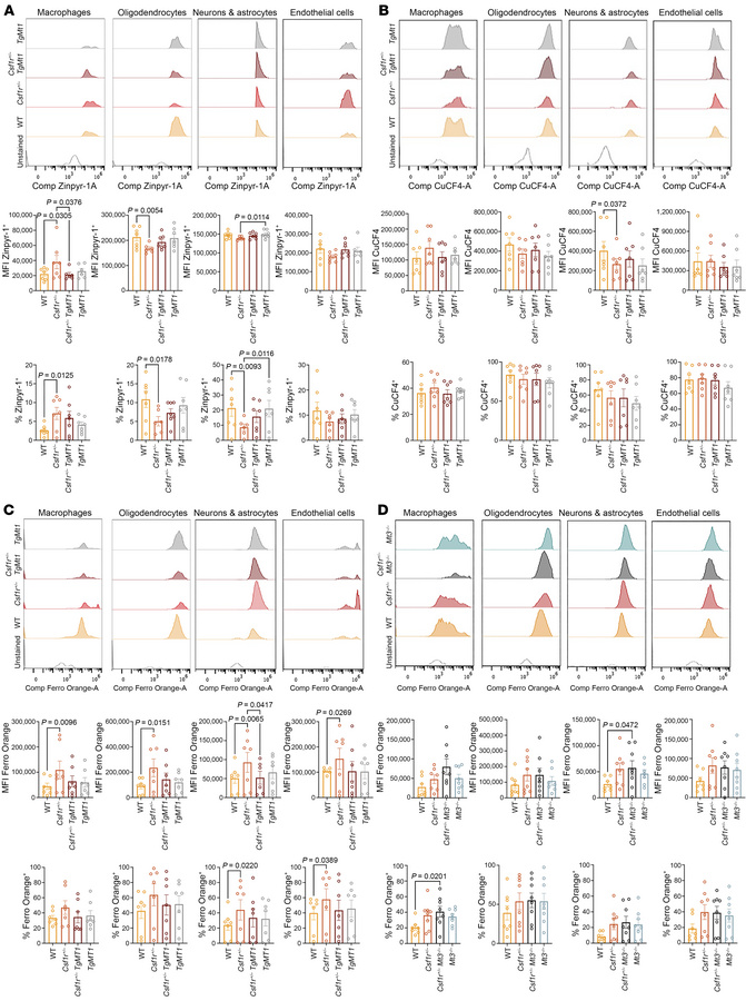 Overexpression of Mt1 prevents the increase in labile Zn2+, Cu+, and Fe2...