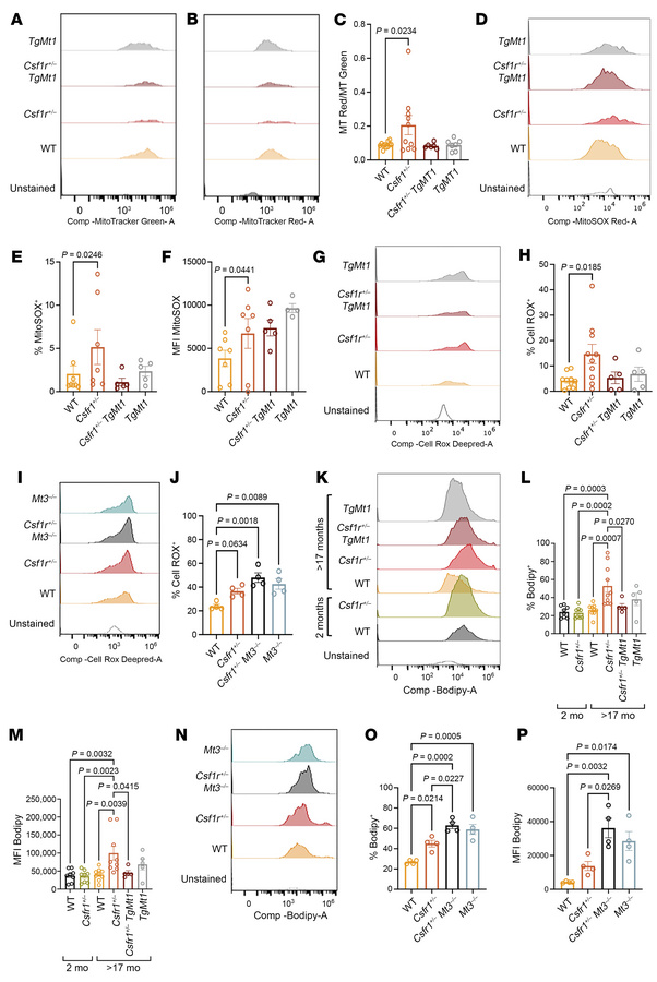 Effects of MT overexpression and deficiency on mitochondrial activity, R...