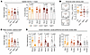 Transgenic overexpression of Mt1 suppresses symptom development in Csf1r+/–