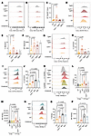 Effects of MT overexpression and deficiency on mitochondrial activity, ROS