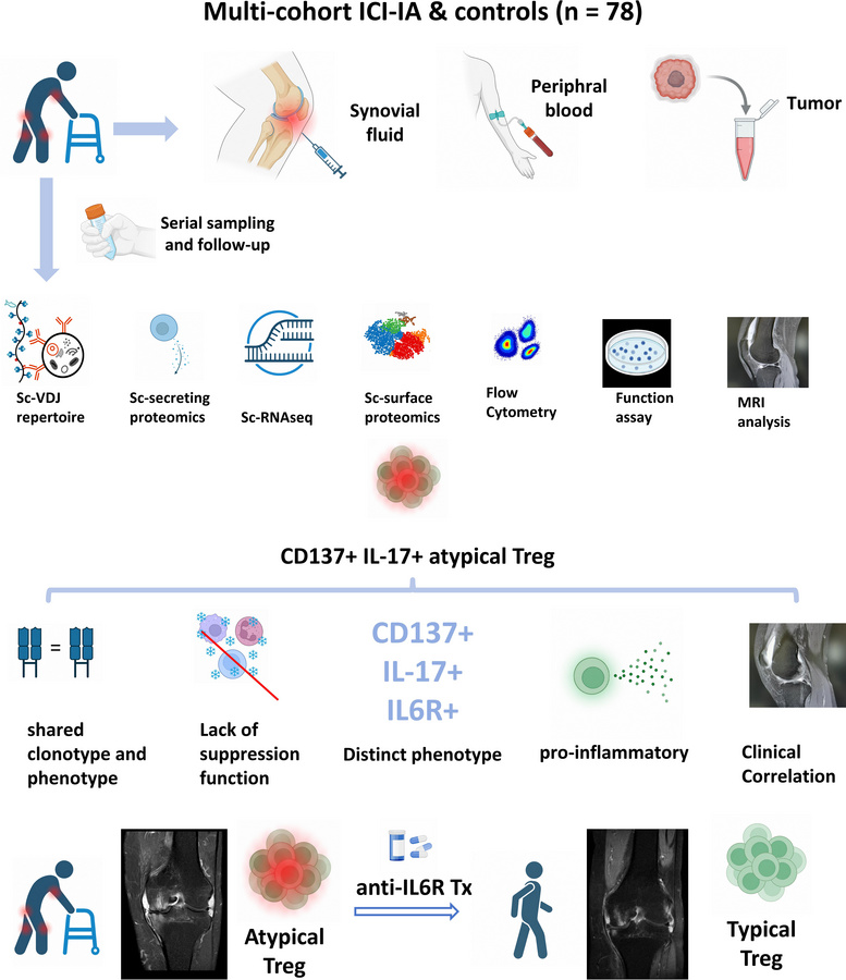graphical abstract