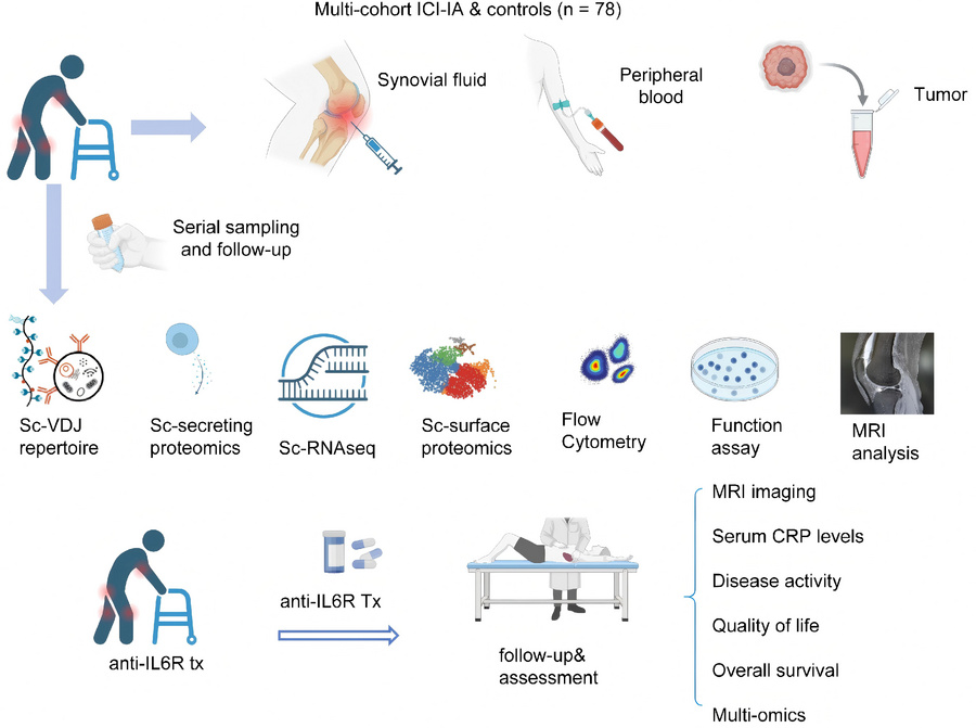 Study design and multi-omics workflow.
Schematic overview of the study d...