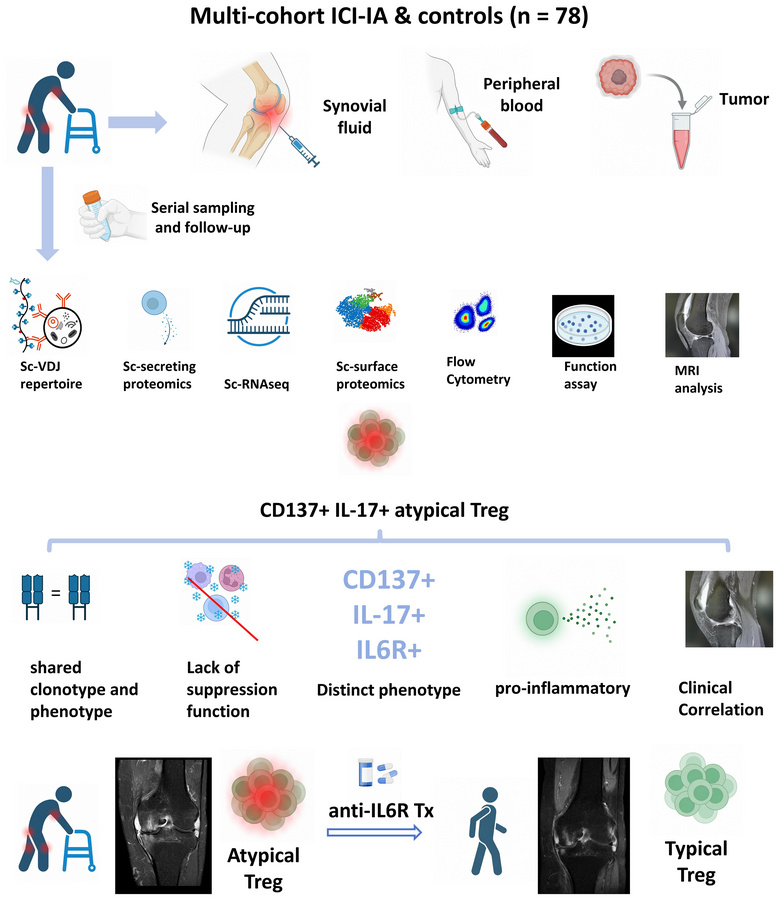graphical abstract