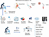 Study design and multi-omics workflow.