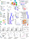 An atypical Treg cell type as signature of inflammatory arthritis after che